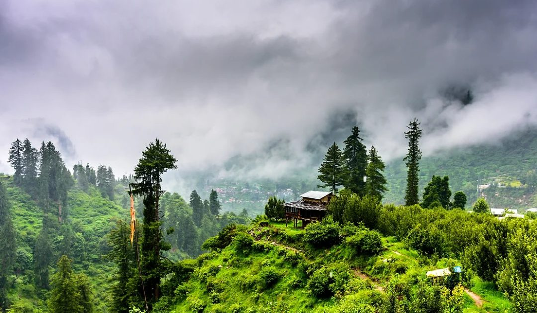 Kasauli